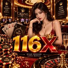 116X